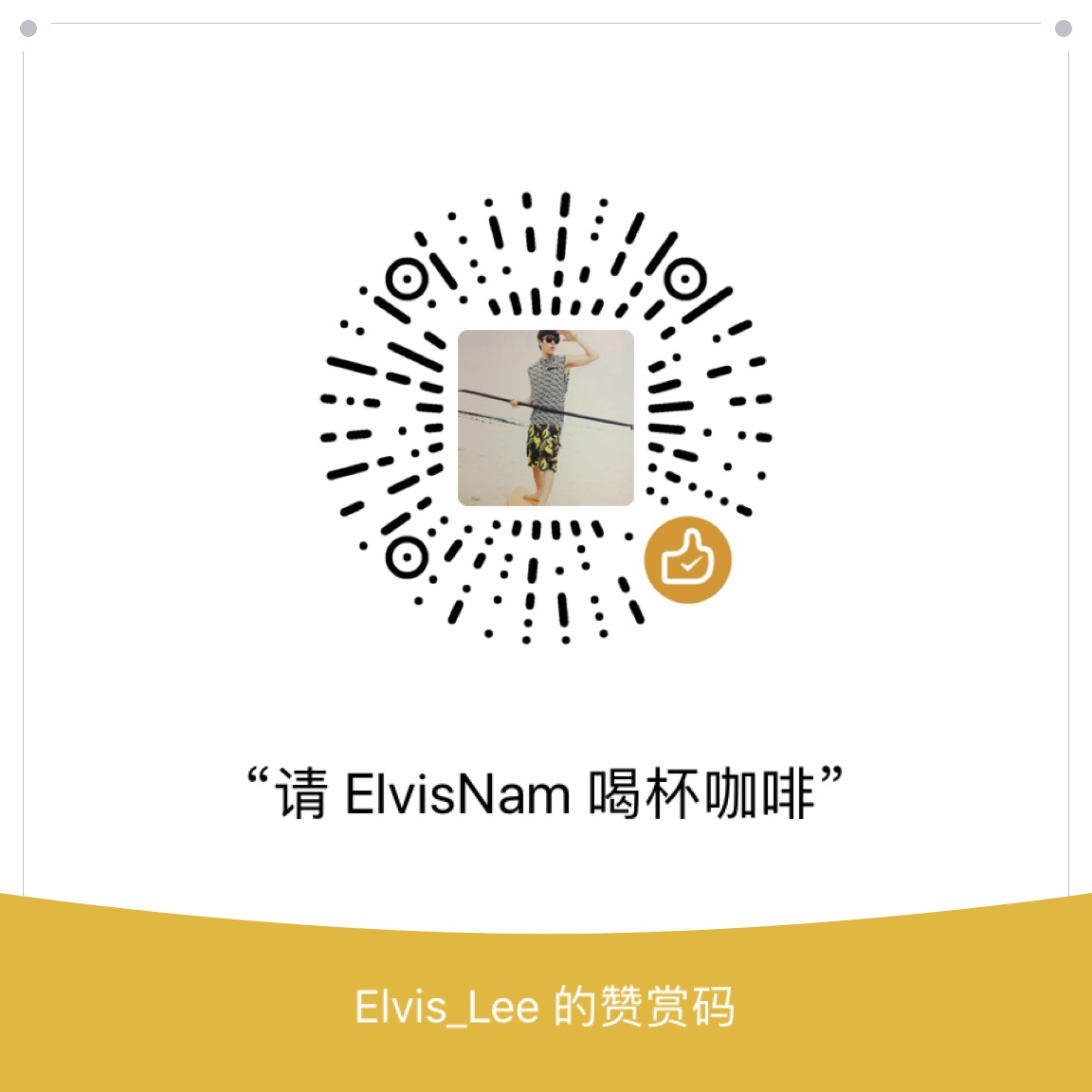 ElvisNam 微信